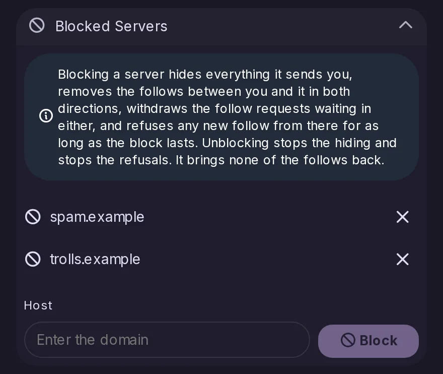 The Blocked Servers section of Mutes and blocks, listing two blocked servers above a field to block another one.