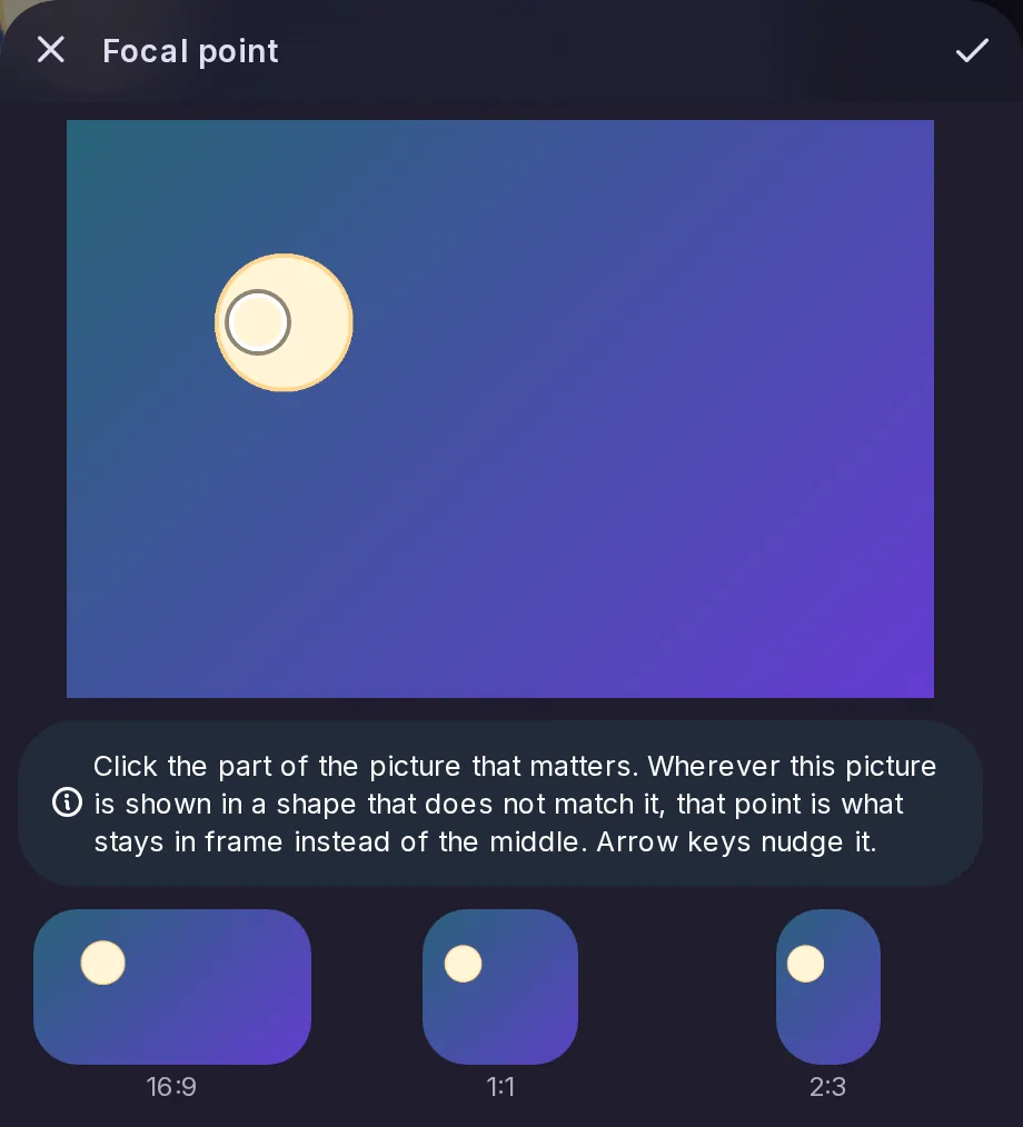 The Focal point window: a picture with the chosen point marked, and previews of what 16:9, 1:1 and 2:3 crops keep around it.