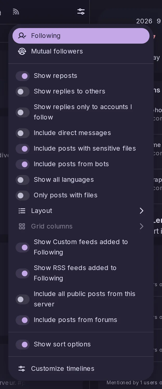 The Options menu of the Home timeline, with a Show all languages switch.