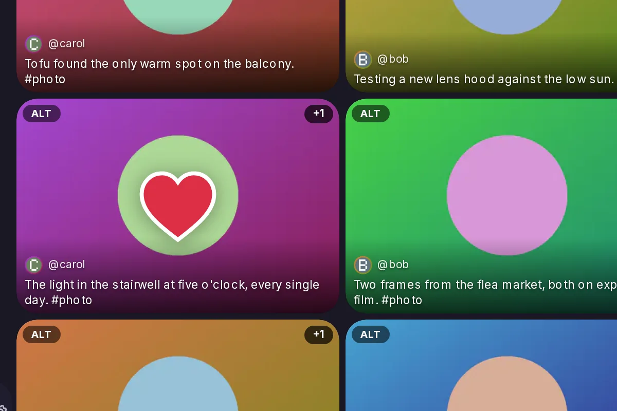 A picture in the Media timeline's grid with a heart over it, just after a double click liked the post.