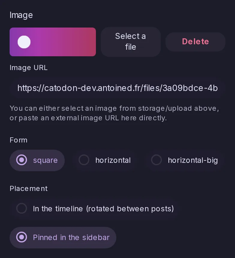 The form of a community banner in the Control Panel: its picture chosen from Storage with Select a file, or an image URL, its form, and its placement set to Pinned in the sidebar.