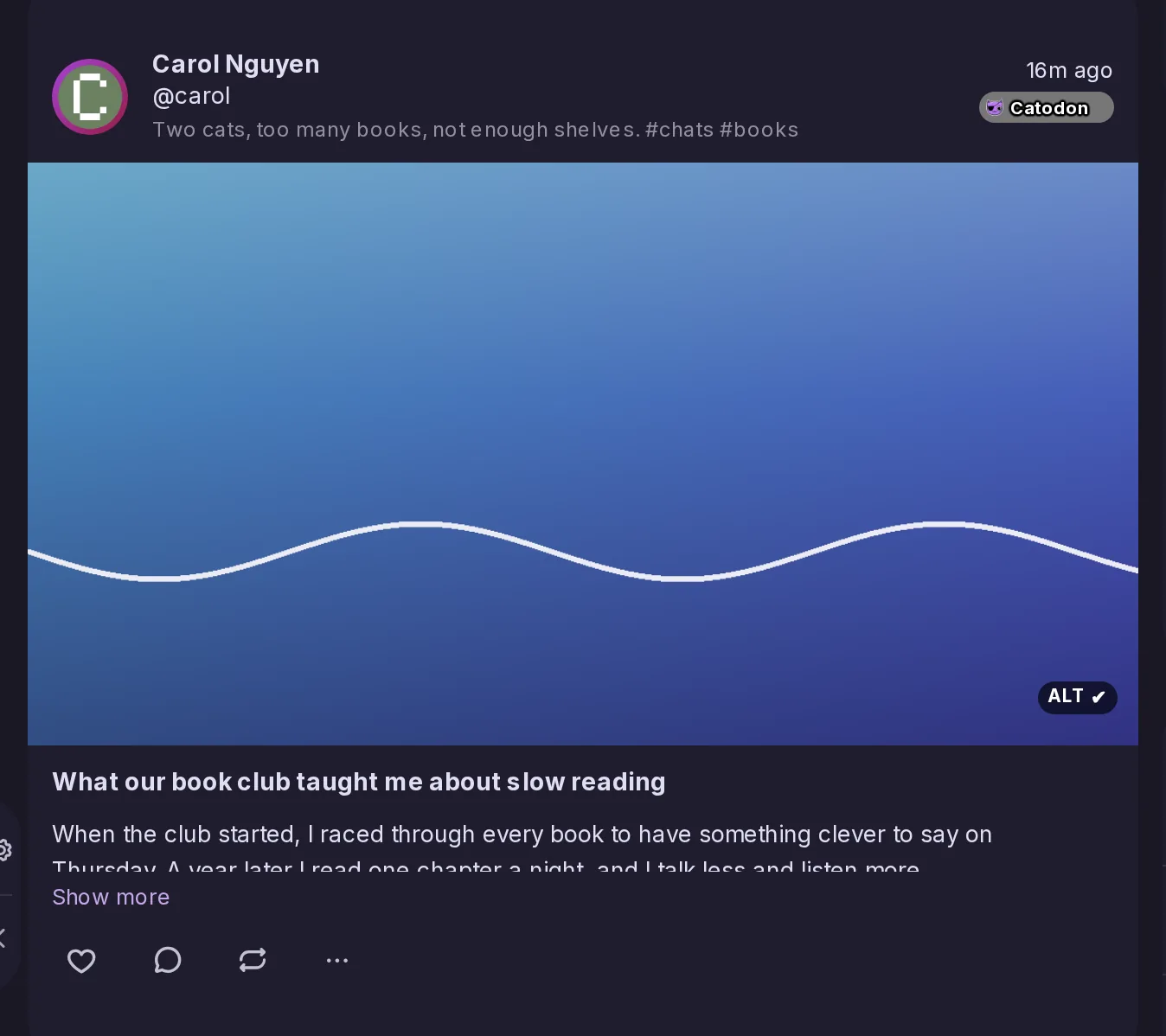 The This server timeline in the immersive layout: Carol Nguyen's post shown with its picture across the whole width of the timeline, above the title and text of her blog post.