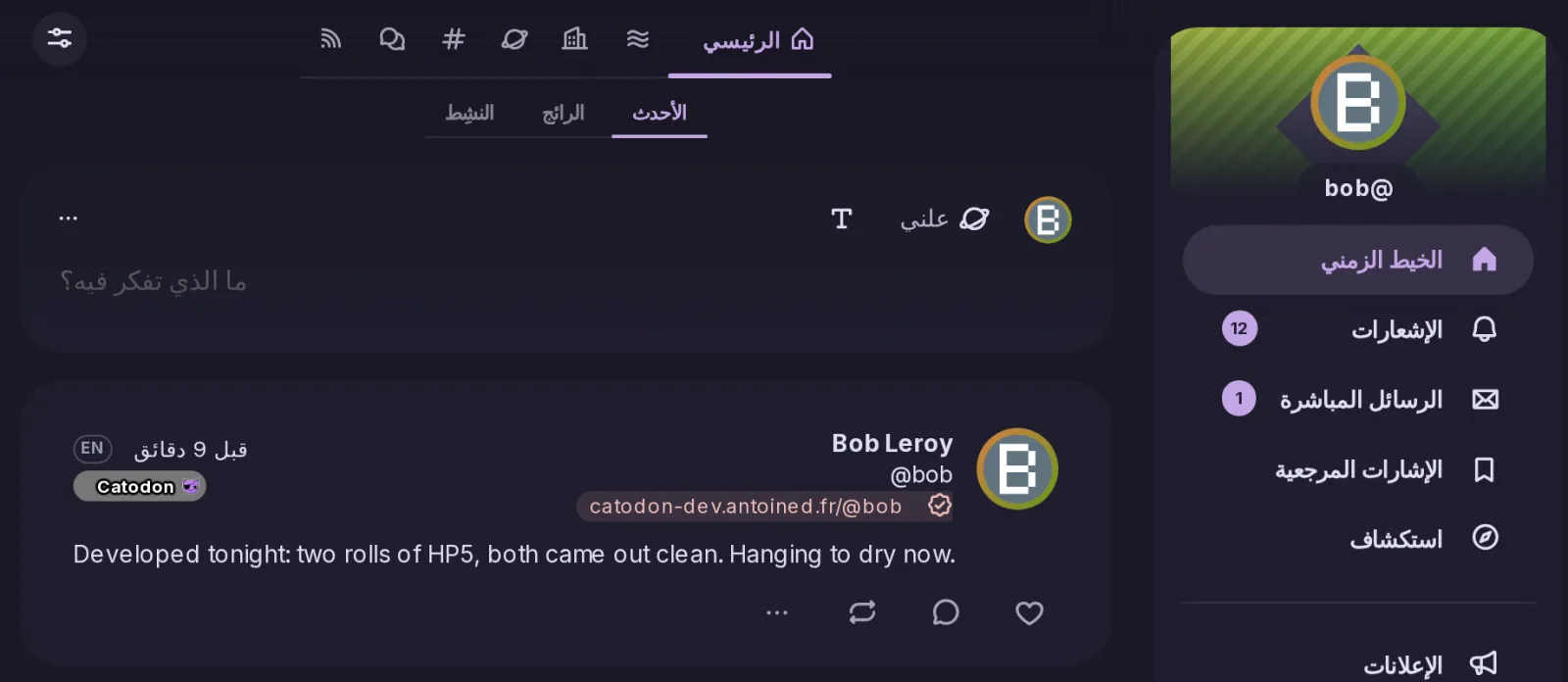 Catodon in Arabic: the navigation on the right, the timeline tabs, the post form and a post laid out from right to left, with icons and accent bars mirrored.
