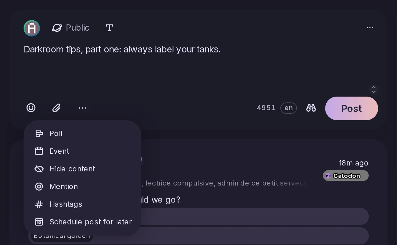 The more menu of the post form, offering Schedule post for later beside the poll, event and mention entries.