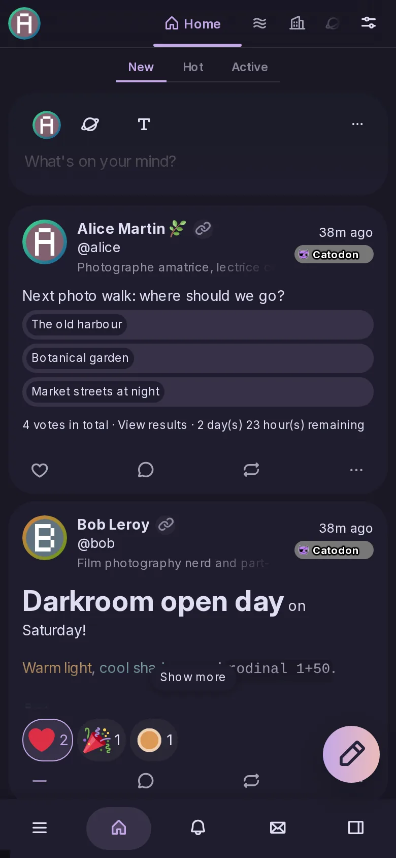 Catodon on a phone: the Home timeline with its tabs at the top and the bottom bar with the menu, timeline, notifications, messages and widgets buttons.